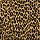 Kane Carpet: Angora Spotted Leopard